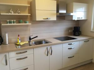 Köök või kööginurk majutusasutuses Appartement am Universitätscampus
