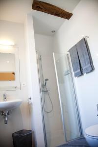 ein Bad mit einer Dusche und einem Waschbecken in der Unterkunft B&B Het Agnetenklooster in Maaseik