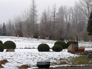 Hotel Dworek nad Regą v zimě