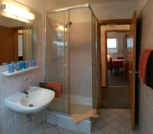 ein Bad mit einem Waschbecken und einer Dusche in der Unterkunft Schapers Ferienwohnungen in Emmerthal
