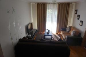 ein Wohnzimmer mit einem Sofa und einem TV in der Unterkunft Jardim das Madalenas in Funchal