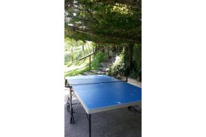 a ping pong table under a tree at La Davana Parma in Salsomaggiore Terme