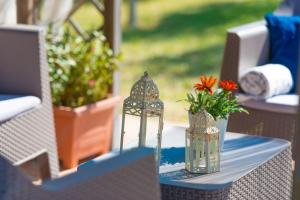 Ein Garten an der Unterkunft 113 Finca Can Roig ETV955 by Mallorca Charme