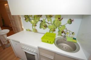 Kuhinja ili čajna kuhinja u objektu Apartment Mina
