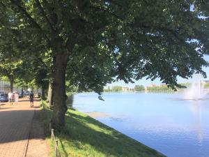 uma árvore ao lado de um lago com uma fonte em Schwerin Apartment am Pfaffenteich em Schwerin