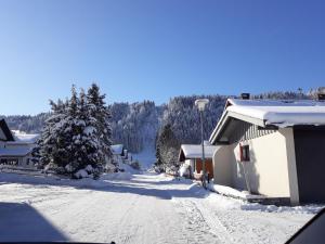 uma rua coberta de neve com uma casa e árvores em Haus Ritter em Missen-Wilhams