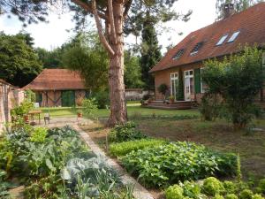 een tuin voor een huis met een boom bij 4 Sterne Wohnen "Zum alten Forsthof" am Schlosspark, App 1 "smuck und groot" in Eutin