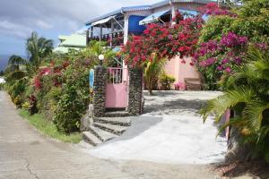 a house on the beach with pink flowers at BEL Z 'IGUANE in Trois-Rivières
