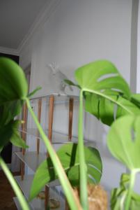 Galeriebild der Unterkunft My Home in Vienna - Smart Apartments - Margareten in Wien