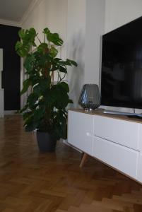 TV/Unterhaltungsangebot in der Unterkunft My Home in Vienna - Smart Apartments - Margareten
