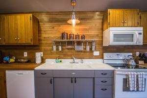 a kitchen with a sink and a microwave at Red Roof mountain cabin with Hot Tub, Starlink & Whole-house Generator in Stanley