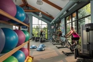 Fitness centrum a/nebo fitness zařízení v ubytování Predator Ridge Resort
