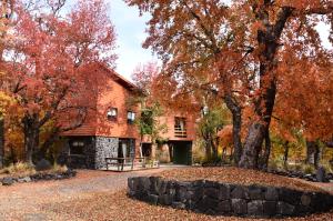 拉斯特朗卡斯Cabañas Las Cabras的秋天的树叶房子