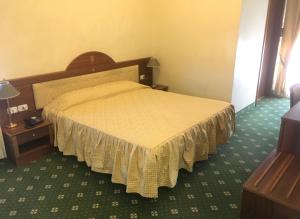 Postel nebo postele na pokoji v ubytování Hotel Internazionale Gorizia