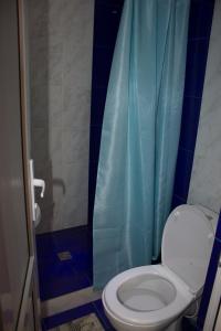 a bathroom with a toilet and a blue shower curtain at Armen's Guest House in Tatʼev