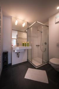 a bathroom with a shower and a sink and a toilet at Chalet Dillon in Wengen +52 photos