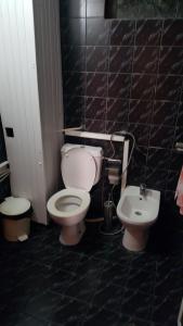 Afbeelding uit fotogalerij van Хотел Виама in Mineralni Bani