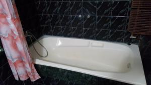 Afbeelding uit fotogalerij van Хотел Виама in Mineralni Bani