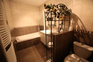 a bathroom with a toilet and a sink and a shower at Logis Le Bourguignon in Bèze