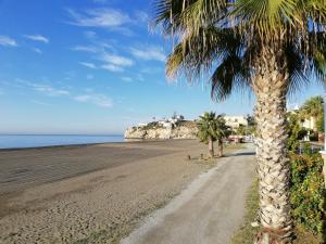 a palm tree on a beach next to the ocean at La Casita de Nuria in Rincón de la Victoria