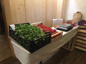 einen Tisch mit Gemüse auf einem Tisch in der Unterkunft Mattenhof in Zell am Harmersbach