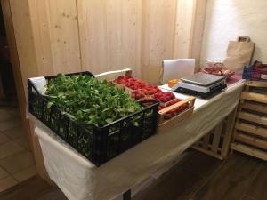 a table with vegetables on top of a table at Mattenhof in Zell am Harmersbach