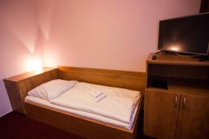 Postel nebo postele na pokoji v ubytování Hotel Hron