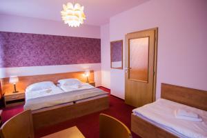 Postel nebo postele na pokoji v ubytování Hotel Hron