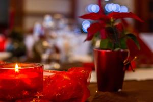 a red candle and a red flower in a vase at Penzion FIT - Contactless check in in Zvolen