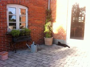 Zahrada ubytování Lundsgaard Bed & Breakfast