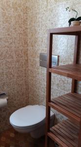 a bathroom with a white toilet and a shelf at Landgasthof Grüner Baum in Badenweiler