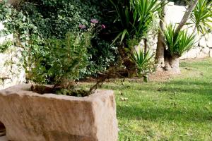 Ogród w obiekcie Hotel Salento