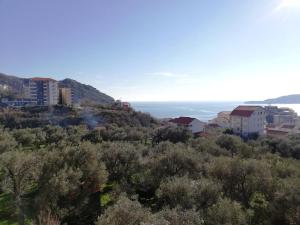 a town on a hill with the ocean in the background at Apartment Olive Montenegro KO Becici in Budva