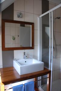 a bathroom with a white sink and a shower at Les Gîtes du Pla de Moura in Luz-Saint-Sauveur