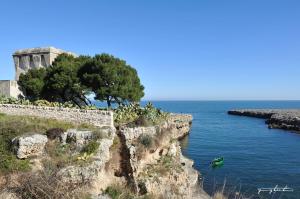 a building on a cliff next to the water at case per vacanze torre incina in Polignano a Mare