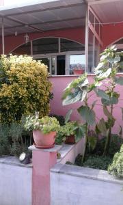 Imagen de la galería de Apartments Ana Buratovic, en Stari Grad