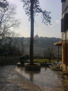 a tree sitting next to a building with a bench at Akbulut Konak in Safranbolu