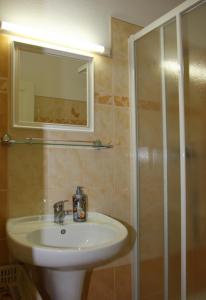 a bathroom with a sink and a shower with a mirror at Penzion Kozabar in Horní Luby