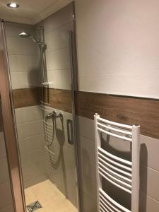 ブラウンラーゲにあるBergsuite NO.27のバスルーム(ガラスドア付きのシャワー付)