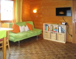 Apart Greber في أنديلسبوخ: غرفة معيشة مع أريكة خضراء وتلفزيون