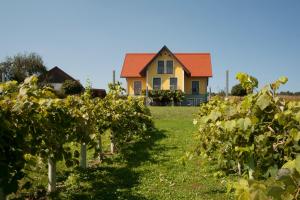 Zahrada ubytování Weingut Winzerhof Gästezimmer Grebenz