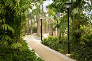 a path through a park with palm trees and street lights at Hyatt Place Zhuhai Jinshi in Zhuhai