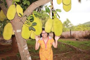 a woman standing next to a tree with a bunch of fruit at Sneha Farm House in Kudāl