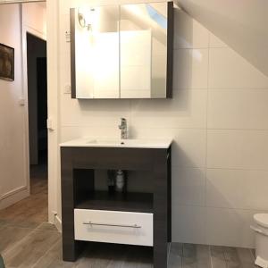 een badkamer met een wastafel en een spiegel bij Angel Services - Le Nant in Saint-Jorioz