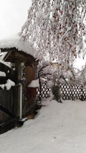 B&B Casa Delle Fate في Campodenno: شجرة مغطاة بالثلج بجوار سور