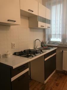 a kitchen with a sink and a stove top oven at Apartament Parkowy in Brwinów