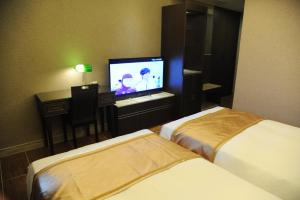 TV a/nebo společenská místnost v ubytování Maple Hotel