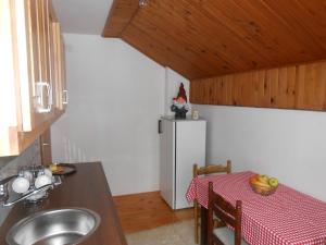 A kitchen or kitchenette at Apartman Draga