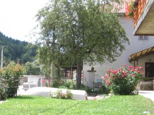 A garden outside Apartman Draga