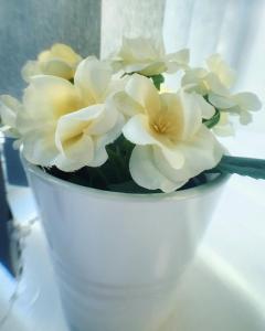 a white vase filled with white flowers on a table at Castle Terrace (B3 R3) in Dudley